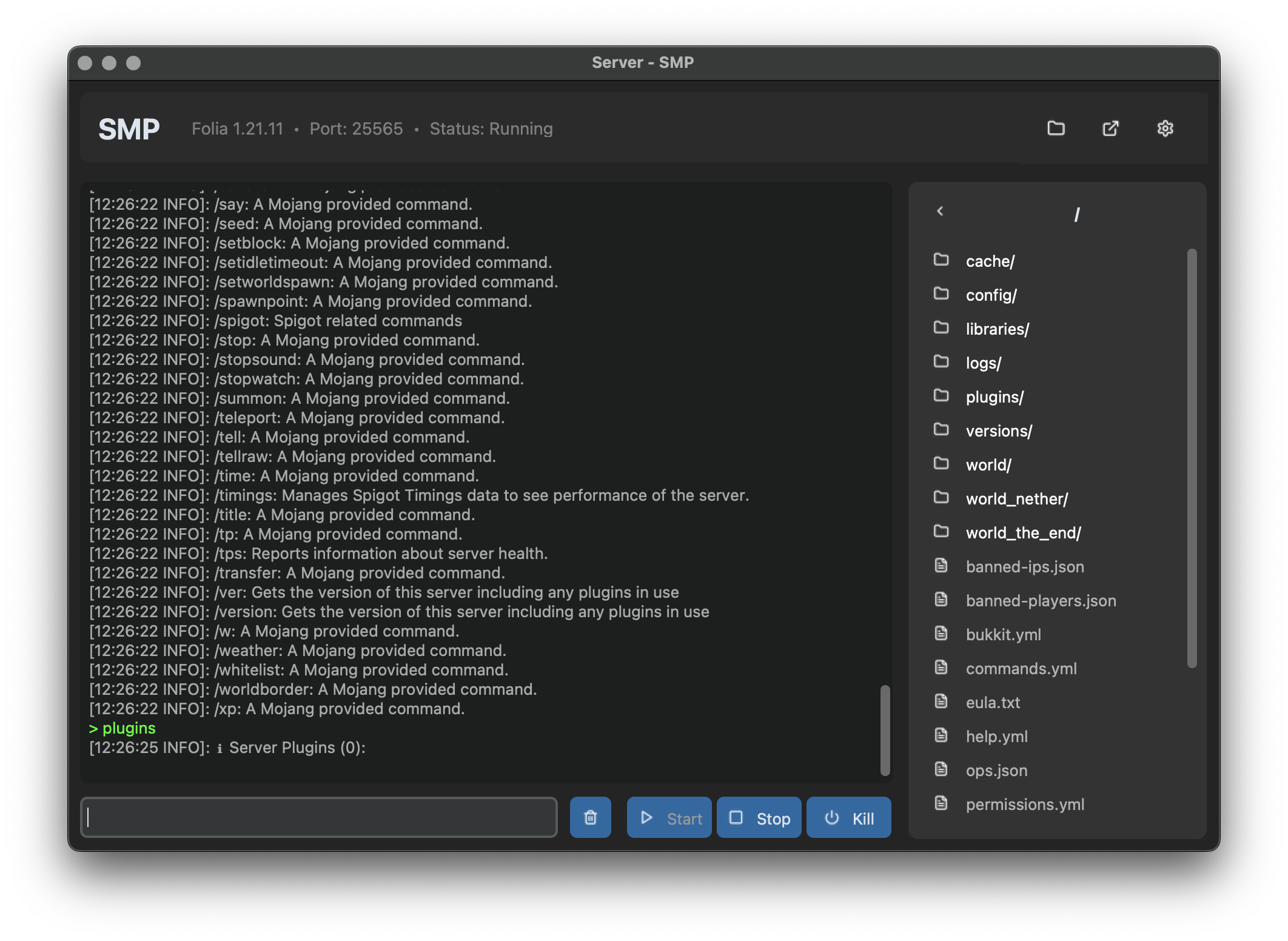 Server Control Panel Screenshot